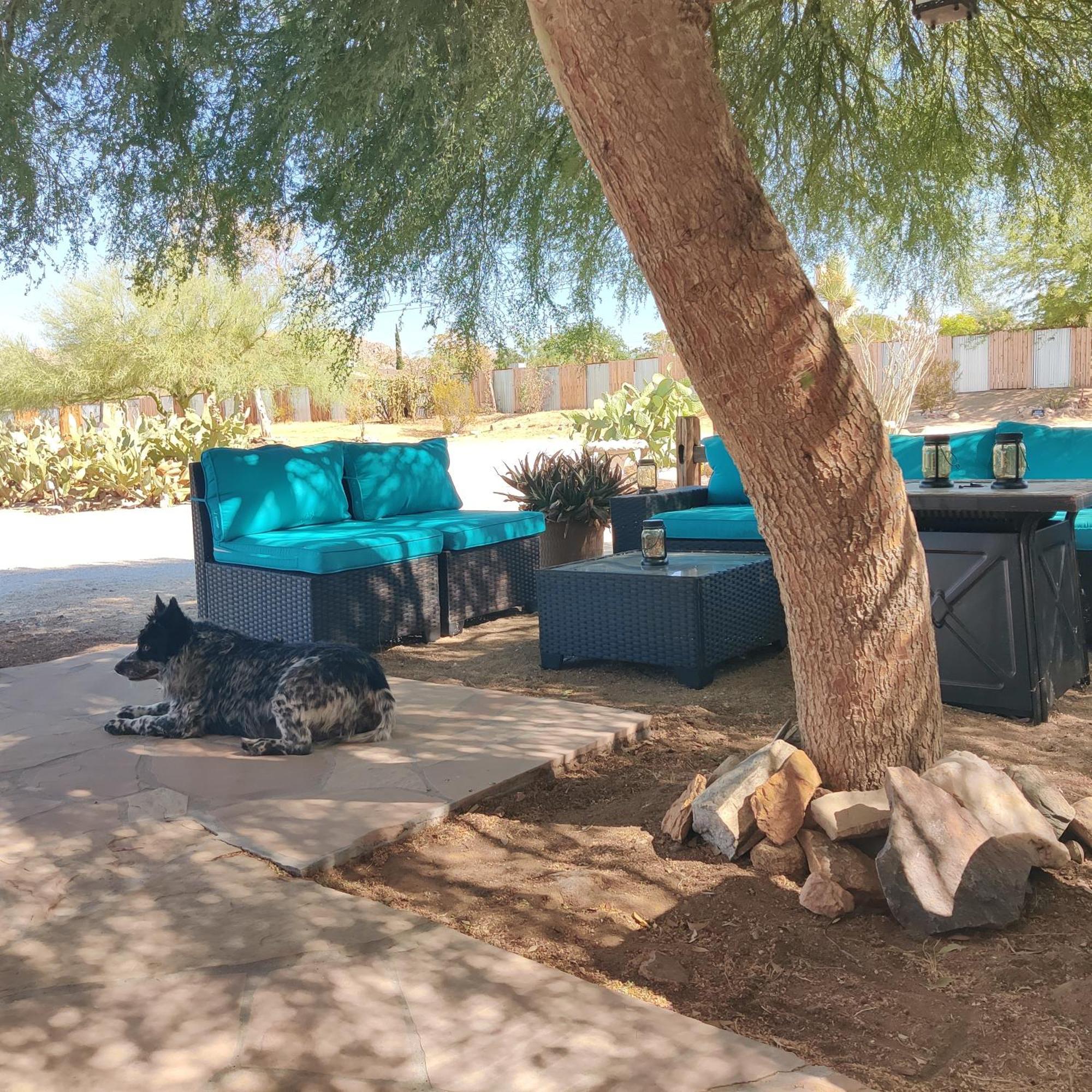 Joshua Tree Ranch House Motel - Downtown - Room #8 Luaran gambar
